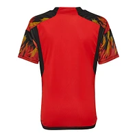 Belgium adidas Youth Replica Soccer Jersey, Football, International