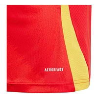 Youth Spain adidas Replica Home Jersey