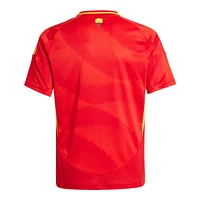 Youth Spain adidas Replica Home Jersey