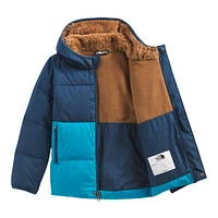 The North Face Toddler Boys' 2-7 Down Hooded Jacket