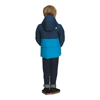 The North Face Toddler Boys' 2-7 Down Hooded Jacket