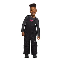 The North Face Toddler Boys' 2-7 Freedom Insulated Bib Pants