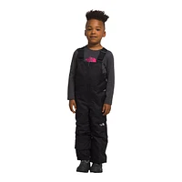 The North Face Toddler Boys' 2-7 Freedom Insulated Bib Pants