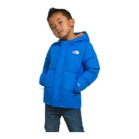 The North Face Toddler Boys' 2-7 Down Hooded Jacket