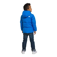 The North Face Toddler Boys' 2-7 Down Hooded Jacket