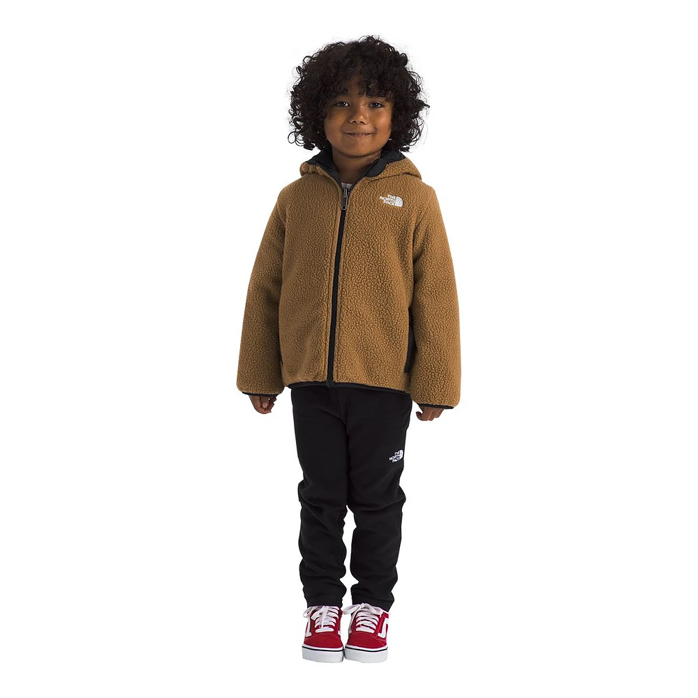 The North Face Toddler Boys' 2-7 Shasta Jacket