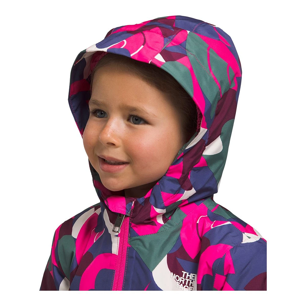 The North Face Toddler Girls' 2-6 Freedom Insulated Jacket