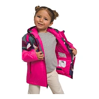 The North Face Toddler Girls' 2-6 Freedom Insulated Jacket