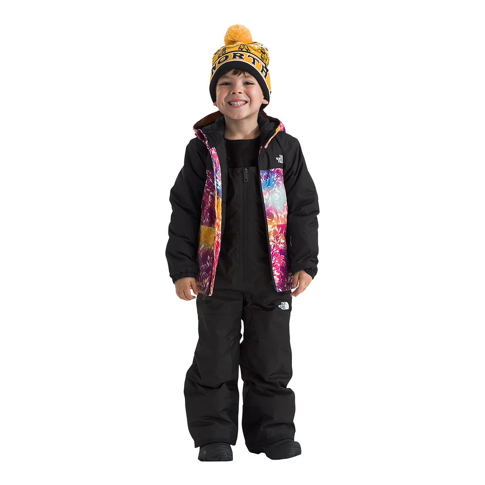 The North Face Toddler Girls' 2-6 Freedom Insulated Jacket