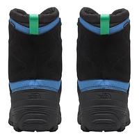 The North Face Kids' Alpenglow V Waterproof Insulated Non-Slip Winter Boots