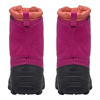 The North Face Kids' Youth Alpenglow V Waterproof Insulated Lightweight Winter Boots