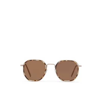 ALDO Cigolith - Men's Bags & Sunglasses Aviator - Brown