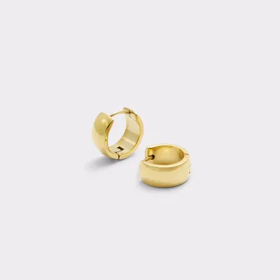 Driracia Gold Women's Earrings | ALDO Canada