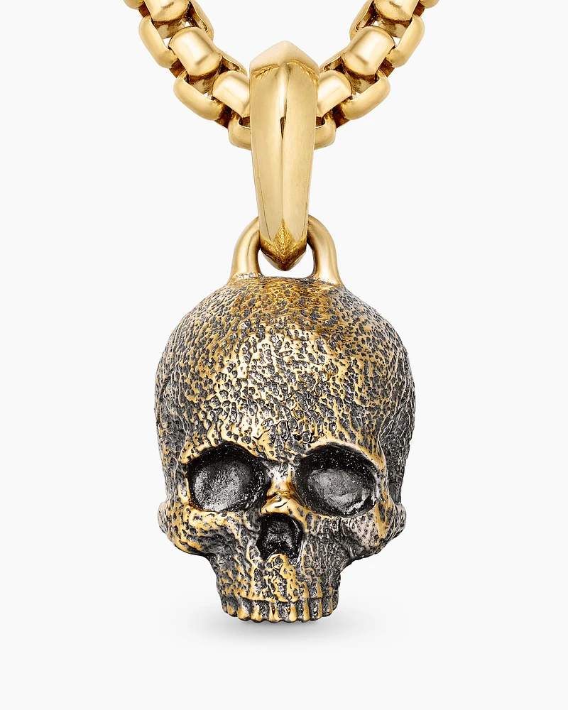Memento Mori Skull Amulet in 18K Yellow Gold