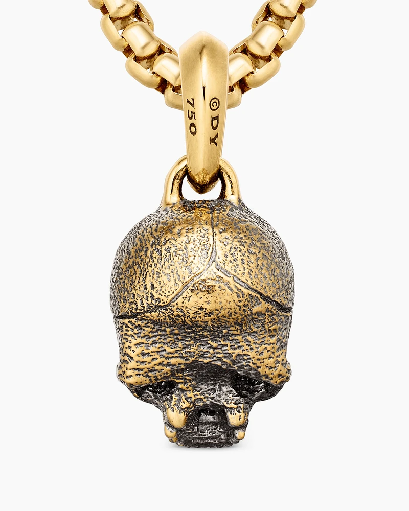 Memento Mori Skull Amulet in 18K Yellow Gold