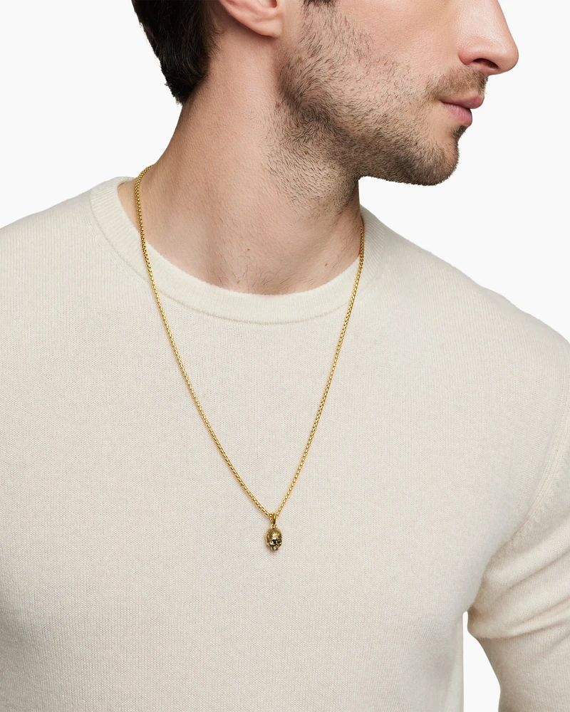 Memento Mori Skull Amulet in 18K Yellow Gold