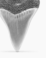 Shark Tooth Amulet in Sterling Silver with Black Diamonds, 27mm