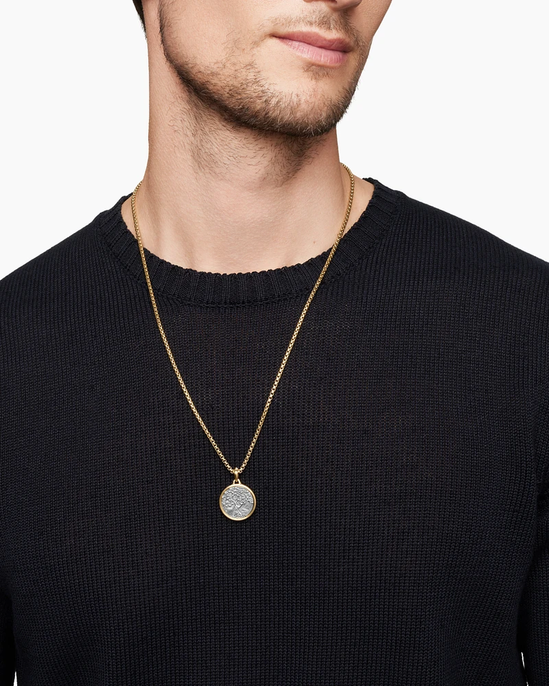 Life and Death Duality Amulet in Sterling Silver with 18K Yellow Gold, 30mm