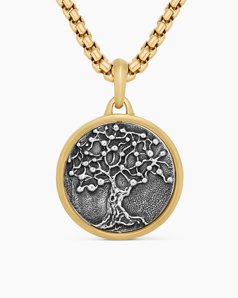 Life and Death Duality Amulet in Sterling Silver with 18K Yellow Gold, 30mm