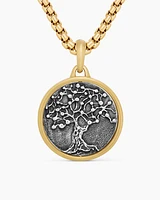 Life and Death Duality Amulet in Sterling Silver with 18K Yellow Gold, 30mm