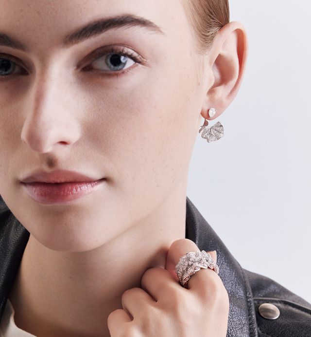 Archi Dior Earrings