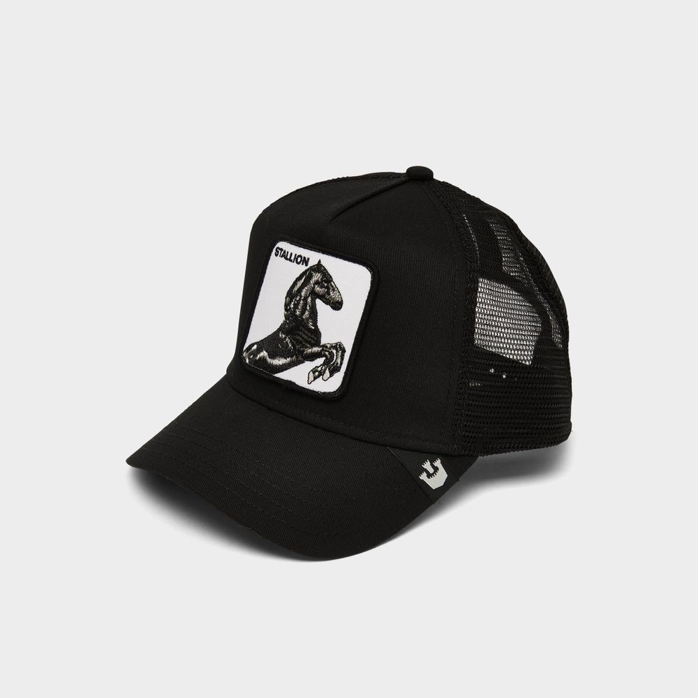 Gorra Goorin Bros The Stallion White –