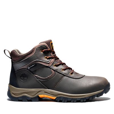 Boys' Big Kids' Timberland Mt. Maddsen Waterproof Hiking Boots