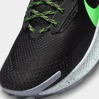 finish line nike pegasus