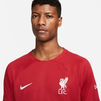 Liverpool FC 2022/23 Stadium Away Big Kids' Nike Dri-Fit Soccer Jersey