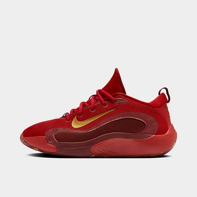 Big Kids' Nike IsoFly Basketball Shoes