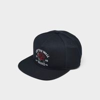 Vans Seely Snapback Hat
