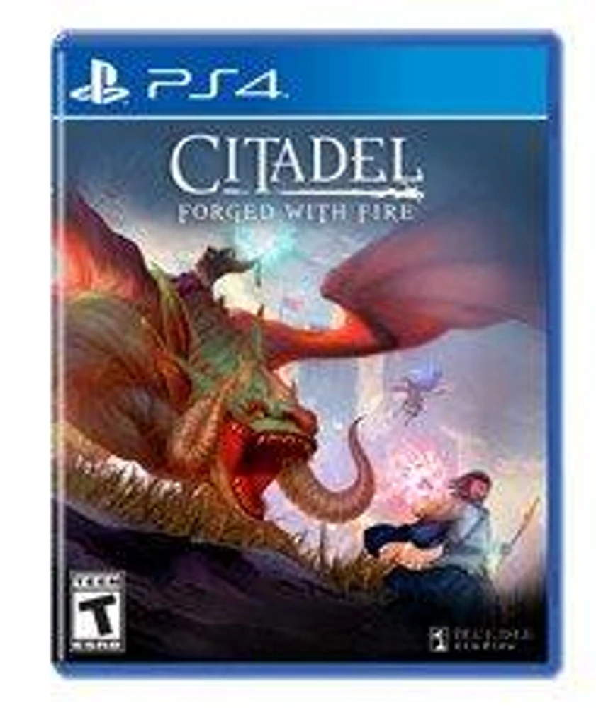 Citadel: Forged with Fire