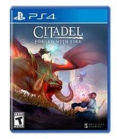 Citadel: Forged with Fire