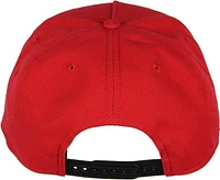 Pokemon Pokeball Adult Flatbill Snapback Hat