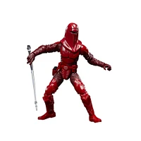 Hasbro Star Wars: The Black Series Star Wars: Return of the Jedi Emperor’s Royal Guard 6-in Action Figure