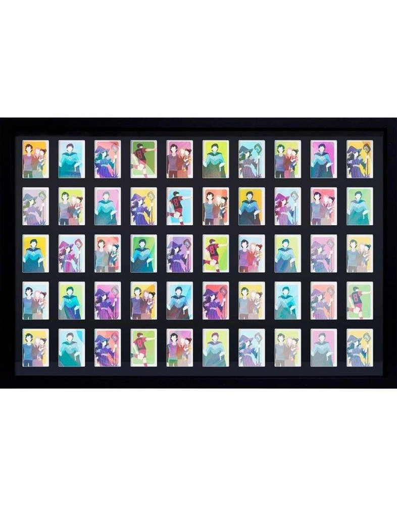 Trading Card Collector 36-in x 24-in Frame Black