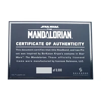 Star Wars The Mandalorian Bo-Katan Cosplay Collector's Box GameStop Exclusive