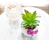 Hello Kitty Face 3-In Ceramic Mini Planter with Artificial Succulent