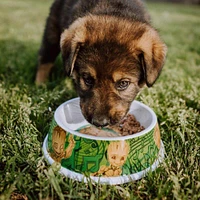 Buckle-Down Marvel Comics Groot Melamine Pet Food Bowl