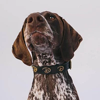 Buckle-Down Disney Signature D Polyurethane Dog Collar