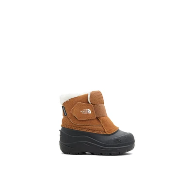 The North Face Alpenglow-ib - Kids Boys Toddler Boots Brown