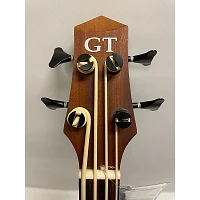 Used Gold Tone 23" Scale Micro Bass Acoustic Bass Guitar