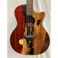 Used Luna Vista Bear Acoustic Bass Guitar