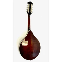 Used Bourgeois M5-a-BT Mandolin