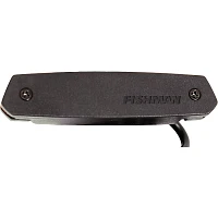 Fishman Pro-Neo-D01 Magnetic Soundhole Pickup