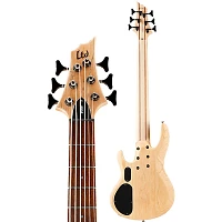 ESP LTD B-206SM 6-String Bass Spalted Maple