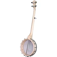 Deering Goodtime Banjo