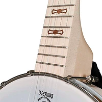 Deering Goodtime Banjo