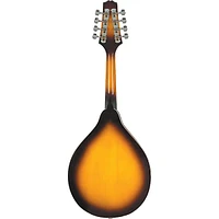 Rogue RM-100A A-Style Mandolin Sunburst