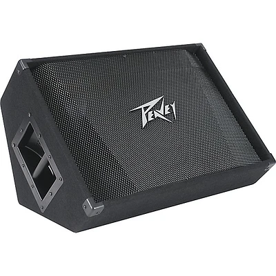 Peavey PV 15M 15" Floor Monitor